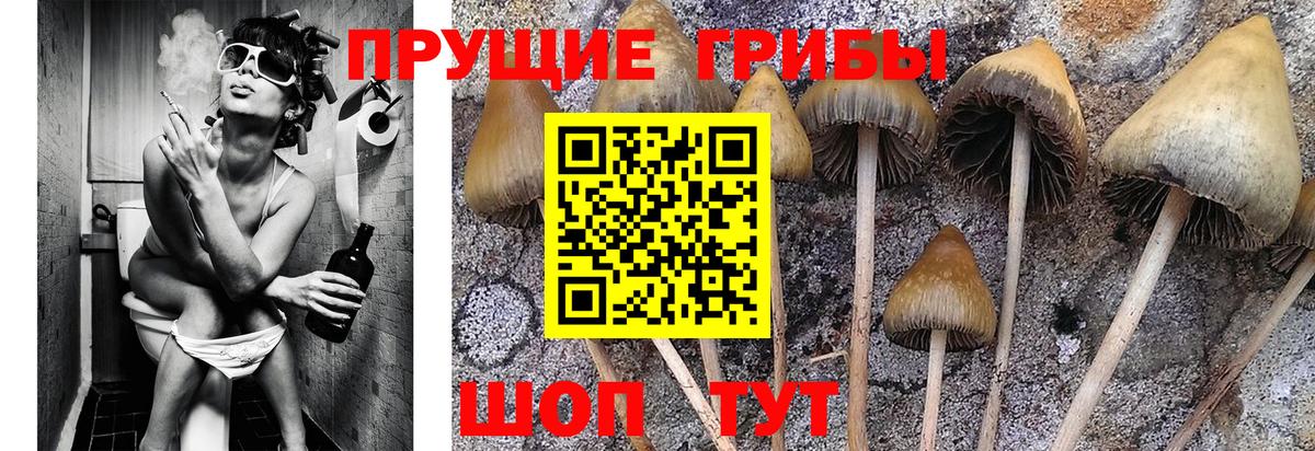 Галлюциногенные грибы Magic Shrooms Татарск