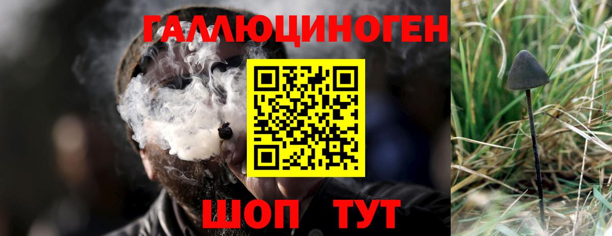 купить  цена  Вход с VPN  Татарск  Псилоцибиновые грибы мухоморы 